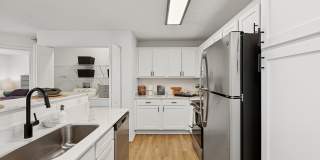 ReNew Town Center Gallery 1