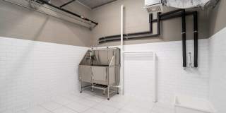 The Westlyn Gallery 23