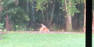 3214 Glenridge Drive Gallery 2