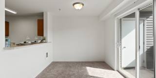 River View Collection Gallery 33