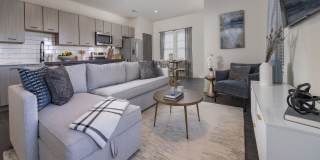 Azola South Tampa - Apartment & Townhome Gallery 3