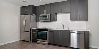 The Lex The Lex Gallery 8