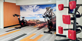 Shadowbrook Gallery 20