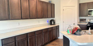 12684 European Beech Rd Gallery 5