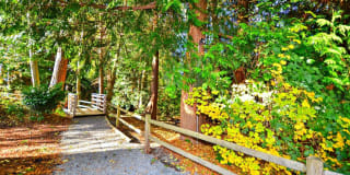 Bay Court at Harbour Pointe Gallery 13