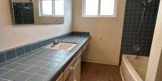 5 Bedroom, 3 Bath in College Area!! Gallery 12