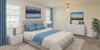 Camelia Gallery 6