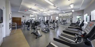 Solle Davie Luxury Apartments Gallery 14