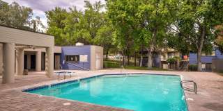 Mountain Steppes Gallery 11