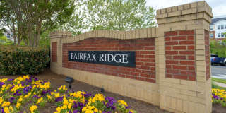 Rare 2BR 2BA 2 Level Condo With Garage Gallery 27