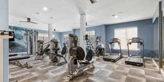 The Briscoe The Briscoe Gallery 29