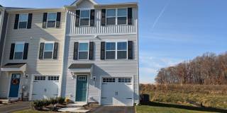 289 HAMILTON Lane Gallery 1