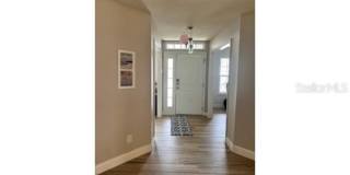 41 PRIMROSE Gallery 4
