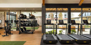 The Prado Gallery 10