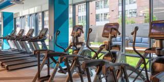 The Kelvin Gallery 24