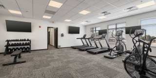 The Altitude II Gallery 12