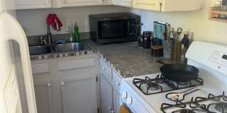 Charming 2BR House in Denver Gallery 3
