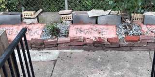 6829 WOODLAND Avenue Gallery 13