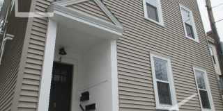 Large pet friendly, sunny, renovated 3 bed unit near Brookline Village. Gallery 4