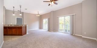 10888 ECLIPSE LILY WAY Gallery 8