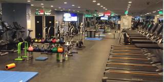 Torrey Gardens Gallery 19