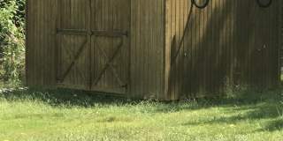 1108 Ashmore Ave Gallery 17