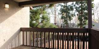 Rose Pointe Gallery 61