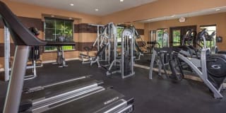 Antelope Ridge Apartments Gallery 13