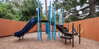 The Brook on Center Gallery 17