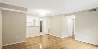 3830 9TH Street N Gallery 1