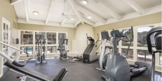 Avana at the Pointe Gallery 24