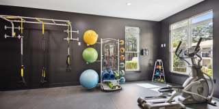 Shellbrook Gallery 16