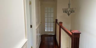 118 Swarthmore Terrace Gallery 15