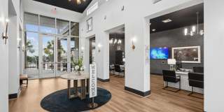Terra Terra Gallery 13