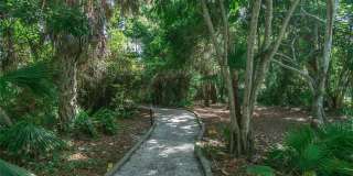 101 WOODLAND PLACE Gallery 28