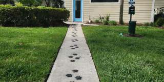 The Fountains at Deerwood Gallery 26