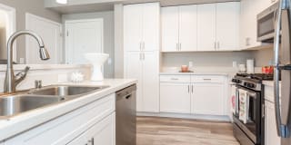 Waterfront at the Marina Gallery 17