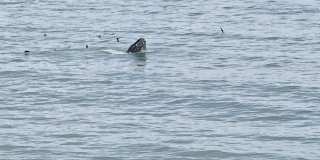 Oceanaire Apartment Homes Oceanaire Apartment Homes Gallery 4