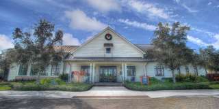 1255 TANGLED ORCHARD Trace Gallery 1