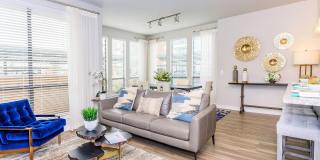 San Remo Gallery 47