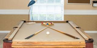 Imperial Palms Gallery 50