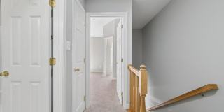Premium Property in Mt Airy. Grab it while it's HOT Premium Property in Mt Airy. Grab it while it's HOT Gallery 19