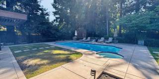 Gorgeous 4 Bedroom PLUS Spacious Bonus Room with Pool in Desired Alamo Neighborhood Available Now! Gallery 50
