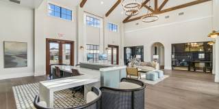 The Stafford Gallery 12