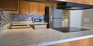 1822 JACKSON BLUFF Road Gallery 7