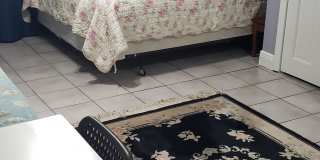 1389 Hibiscus St Gallery 13