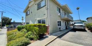 S. Magnolia-728 Gallery 1