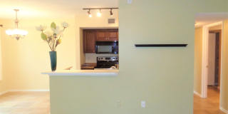 Vero Beach Rentals. Vero Beach Homes For Rent. Vero Beach Rent, LLC and Property Management Company Gallery 3