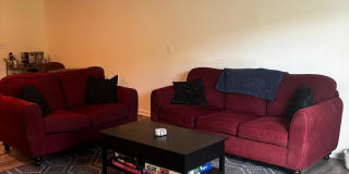 3447 Bernbrooke Shadow Ln Gallery 5