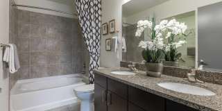 Two Nine North Gallery 63